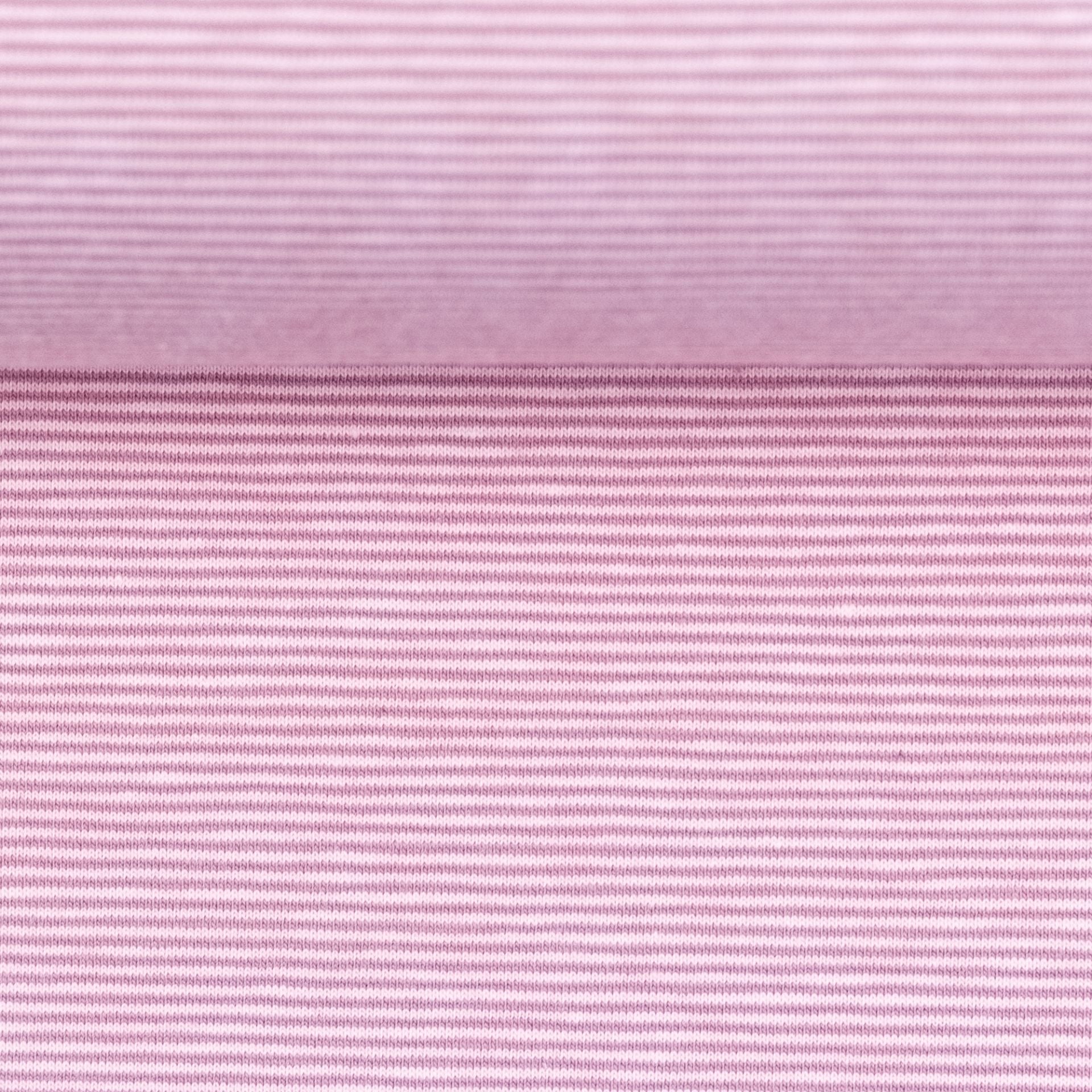 Needle Stripe Cotton Jersey - Cotton Candy