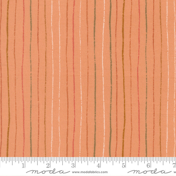 Printed Cotton Poplin - Jessica Rose - Peachy - Trail, Peach