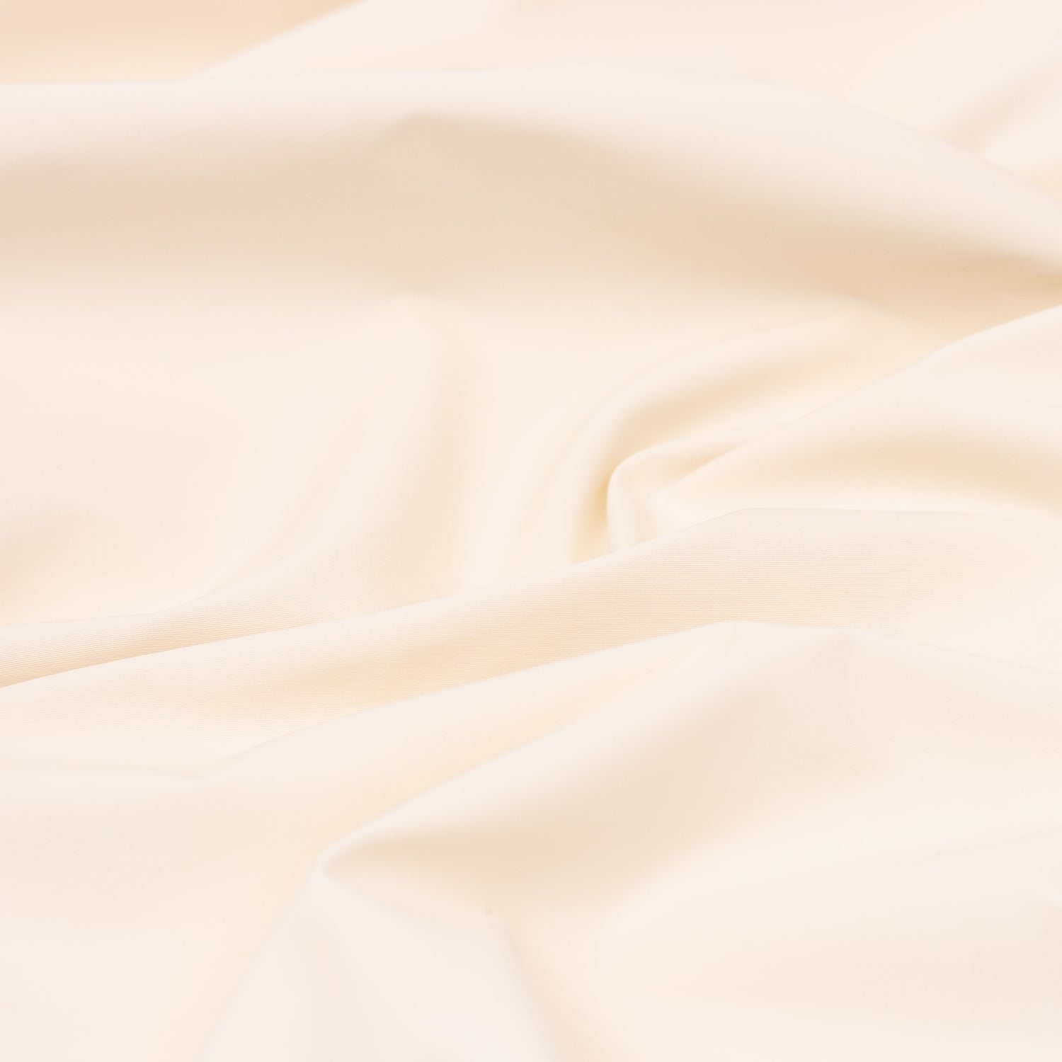 Cotton/Nylon Technical Grosgrain - Pearl