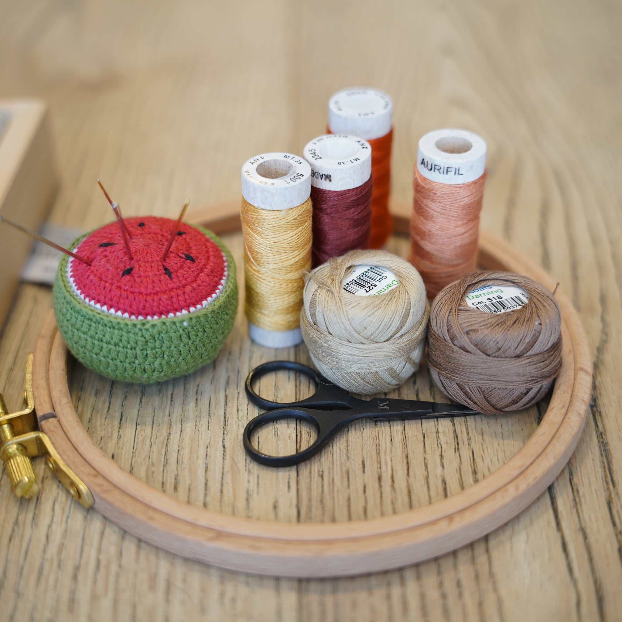 Introduction to Embroidery with Paloma Stitch