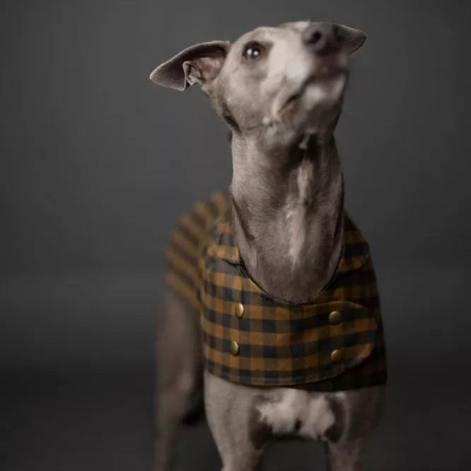 Merchant & Mills -  The Barka Dog Coat PDF Pattern