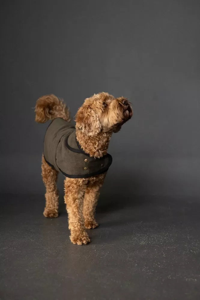 Merchant & Mills -  The Barka Dog Coat PDF Pattern
