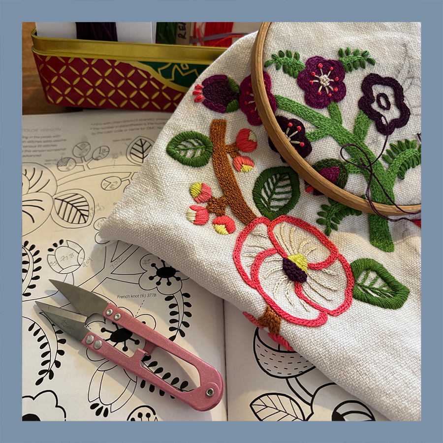 Introduction to Embroidery with Paloma Stitch