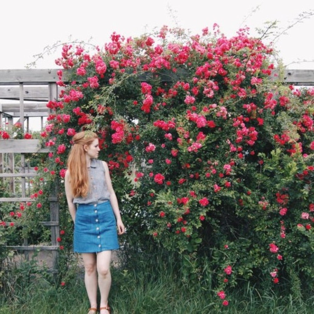 Anna Allen Clothing - Denim Button Up Skirt - PDF Pattern